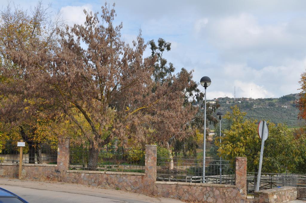 Apartamento Turistico La Ribera Del Marco Caceres Phòng bức ảnh